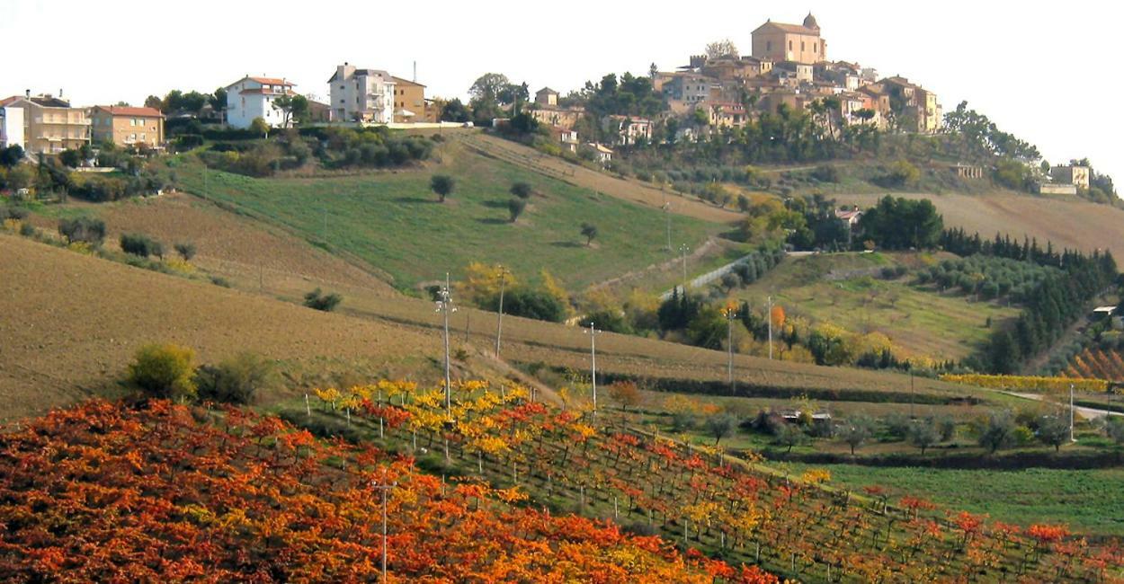 Gli Orti Di San Giacomo Bed & Breakfast Monteprandone Eksteriør bilde